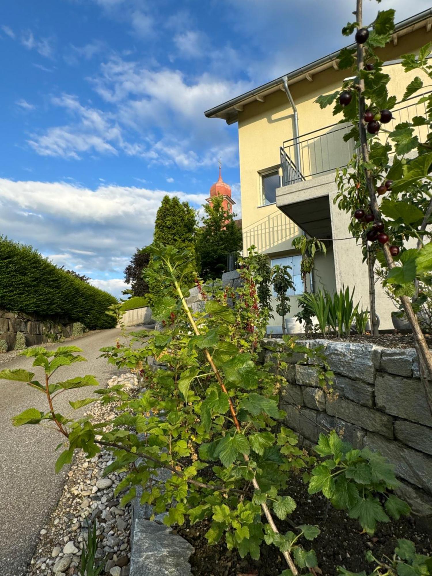 Villa Modern Ufhusen المظهر الخارجي الصورة
